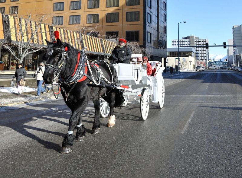 Anchorage, Alaska USA Noorden rondreis huurwagen